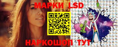 spice Славгород