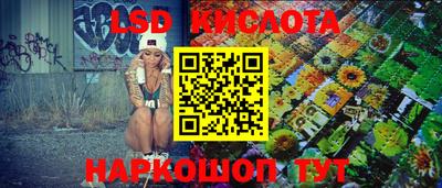 spice Славгород