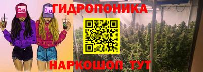 spice Славгород