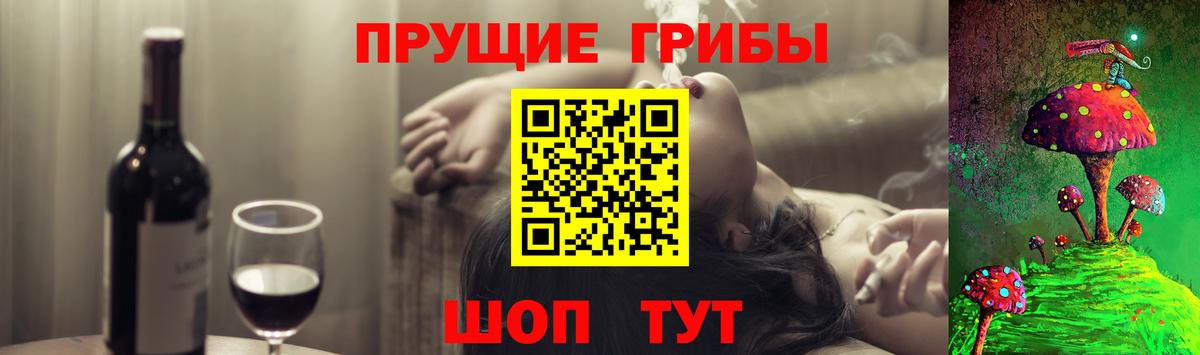 Псилоцибиновые грибы Psilocybe  Вход с VPN  Новый Уренгой  Псилоцибиновые грибы MAGIC MUSHROOMS 