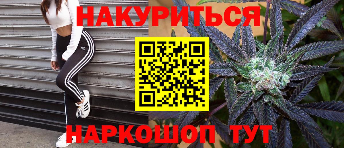 Бошки Шишки план Новый Уренгой